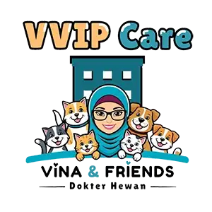 VVIP Care Logo